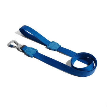 Petsleisure Pet Leashes